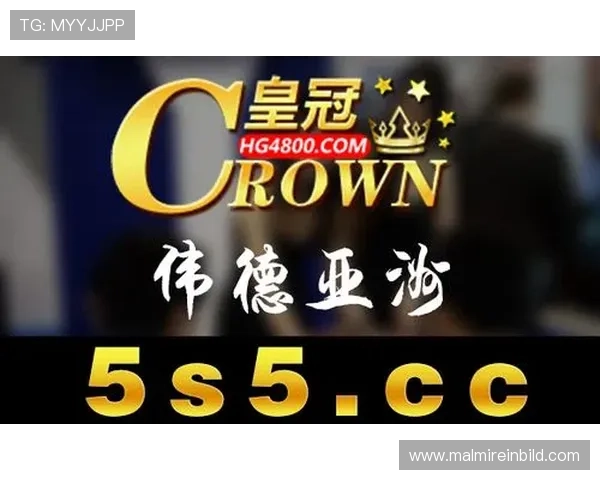 掌握AG电投官网最新优惠政策助你轻松获取丰富奖励提升游戏体验的实用攻略